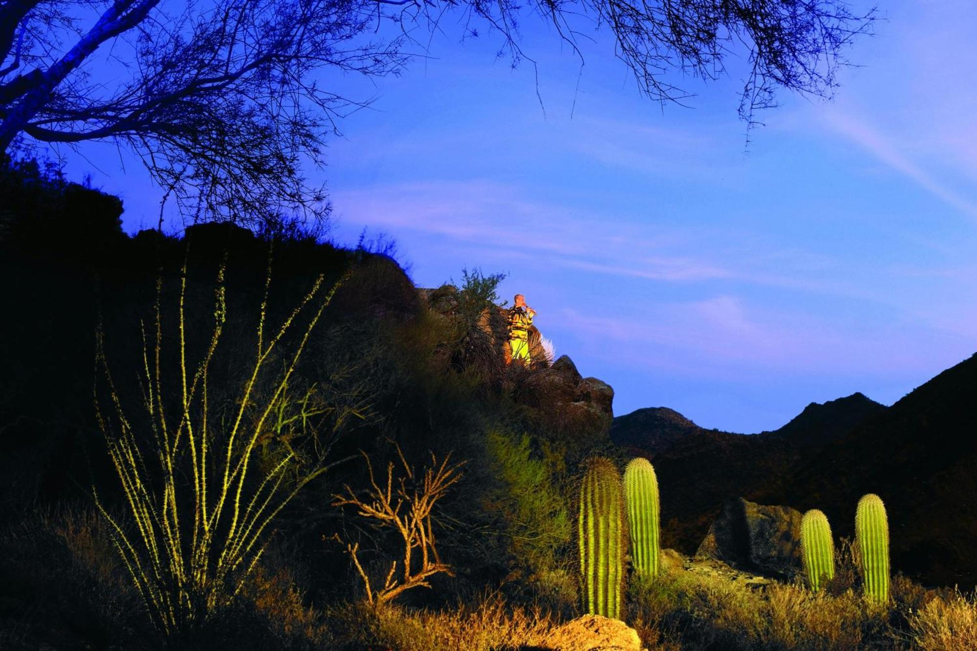 The Ritz-Carlton, Dove Mountain Hotel Marana Exterior foto